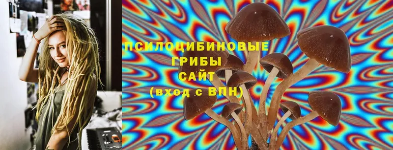 blacksprut ссылки  Бокситогорск  Галлюциногенные грибы Psilocybe  как найти наркотики 