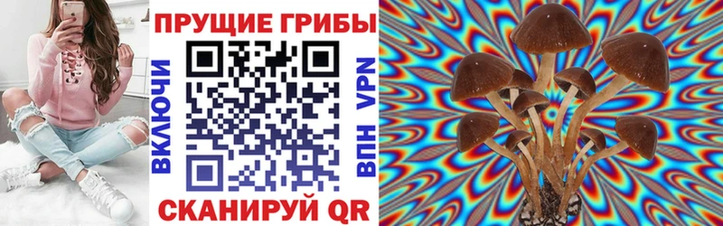 Галлюциногенные грибы GOLDEN TEACHER  kraken   Бокситогорск 